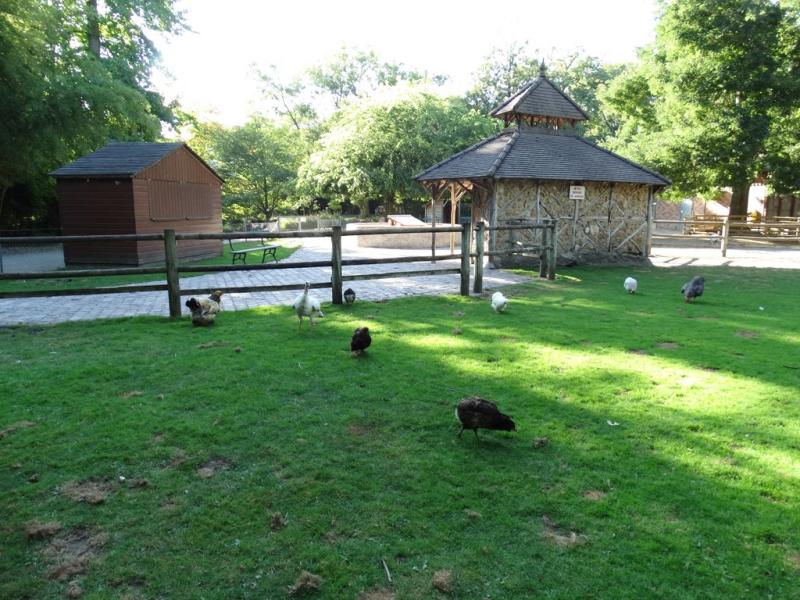 La petite ferme