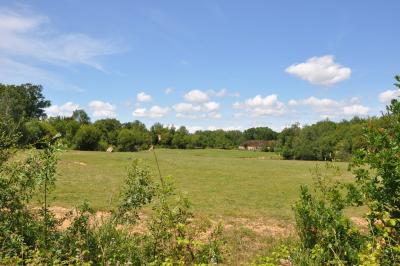 Rhinocéros blanc - Autruche - 2012