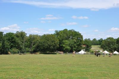 Parc africain - 2012