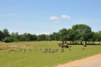 Parc américain - 2012