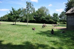 Parc australien