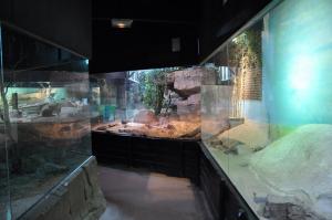 Le vivarium