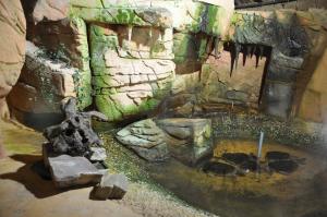 Tortue serpentine