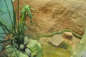 Le vivarium