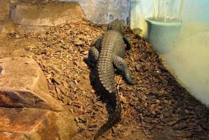Le vivarium