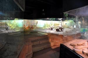 Le vivarium