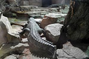 Le vivarium
