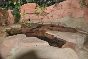Le vivarium