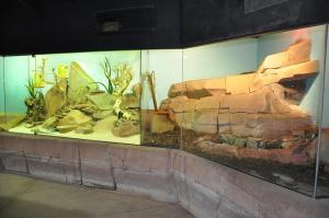 Le vivarium