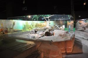 Le vivarium