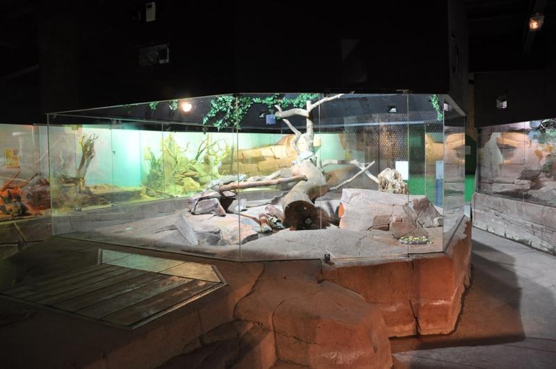 Le vivarium