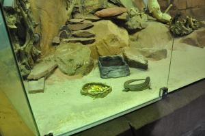 Le vivarium