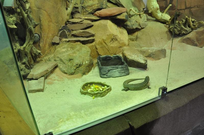 Le vivarium