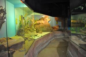 Le vivarium