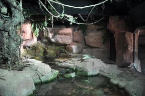 Le vivarium