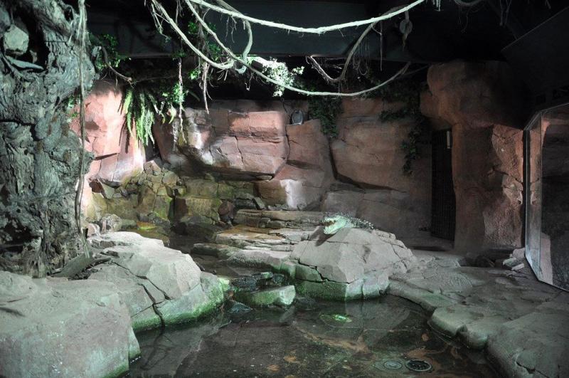 Le vivarium