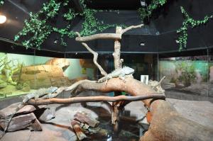 Le vivarium