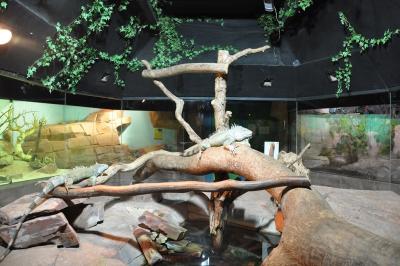 Le vivarium - 2012