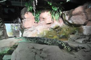 Le vivarium