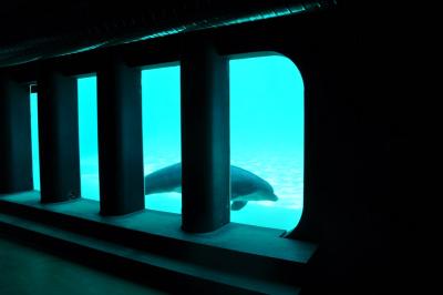 La Cité marine - 2012