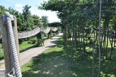 Le temple de la jungle - 2012