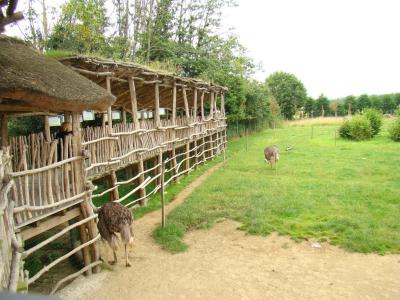 Autruche - 2007