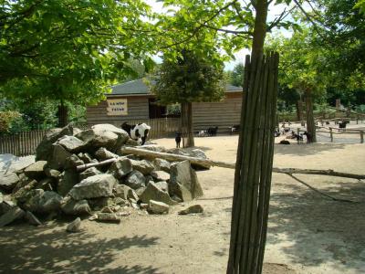 La petite ferme - 2007