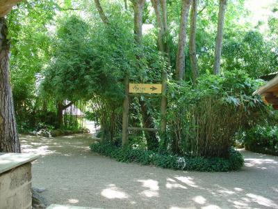 Carrière des aras - 2004