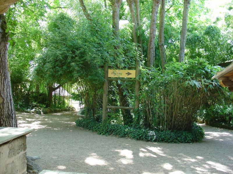 Carrière des aras