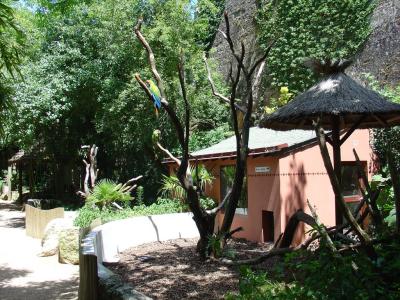 Ara militaire - 2004