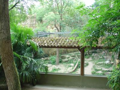 Panthère des neiges - 2004