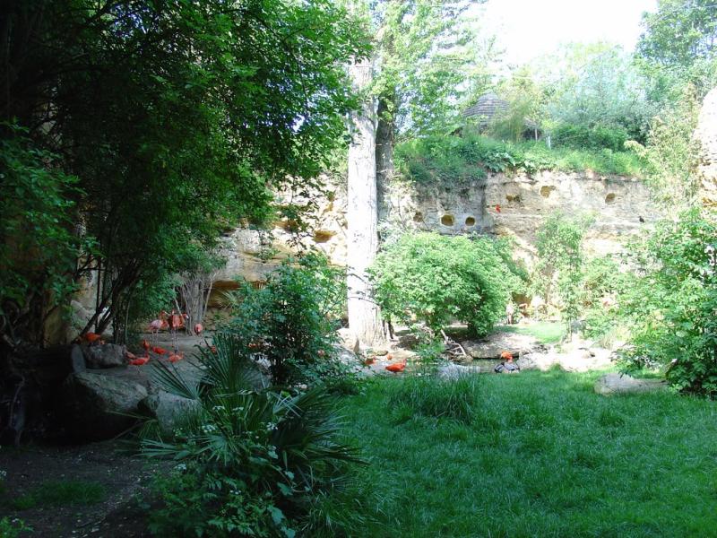 Volière guyannaise