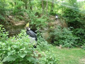Condor