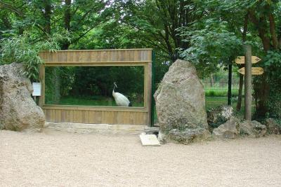 Grue de Manchourie - 2004