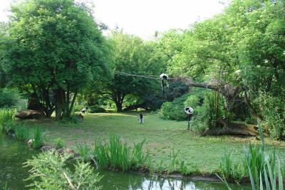 Vari noir et blanc - 2004