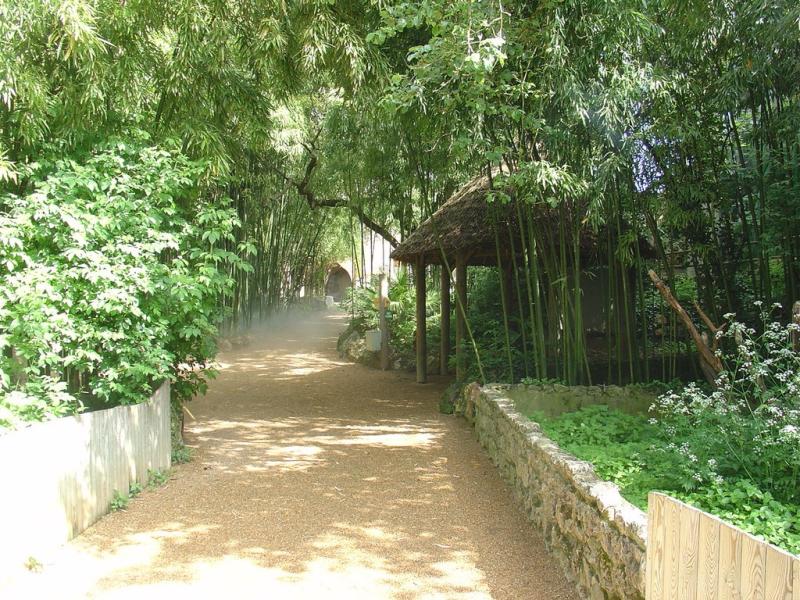 Carrière des aras