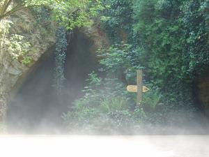 Carrière des aras