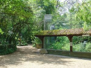 Panthère du Sri-Lanka