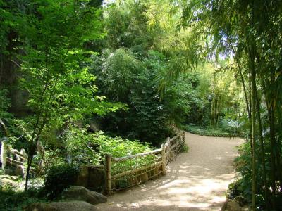 Carrière des aras - 2011