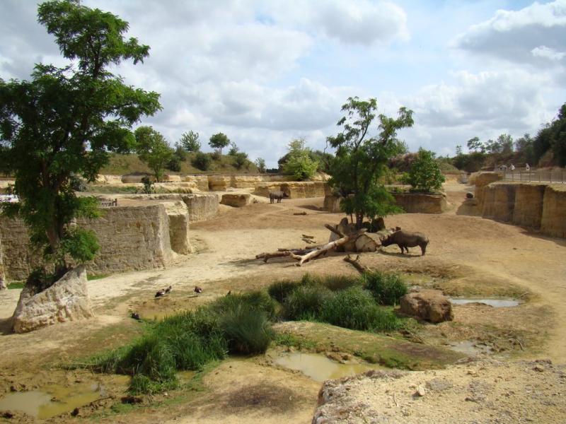 La Vallée des rhinocéros noirs