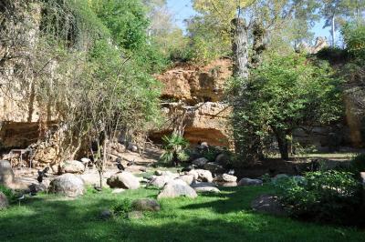 Volière européenne - 2011