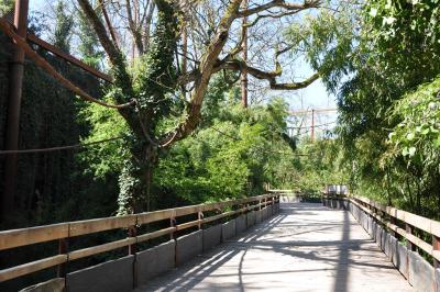 Le sanctuaire des okapis - 2014