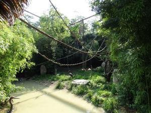 Le sanctuaire des okapis