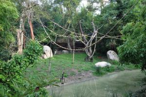 Le sanctuaire des okapis