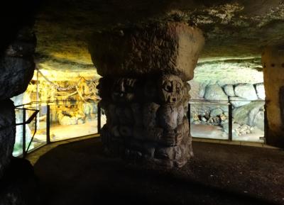 Crocodile à front large - 2014