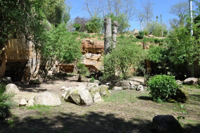 Volière européenne - 2014