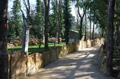 Tortue géante des Seychelles - 2014