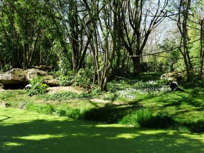 Vari noir et blanc - 2014