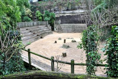 Vautour fauve - Vautour moine - 2014