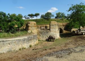 La Vallée des rhinocéros noirs